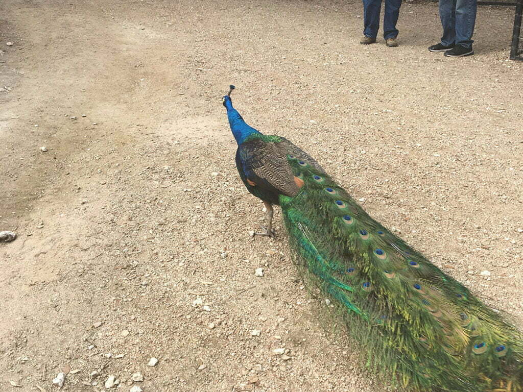 Garage Door Repair Austin, TX